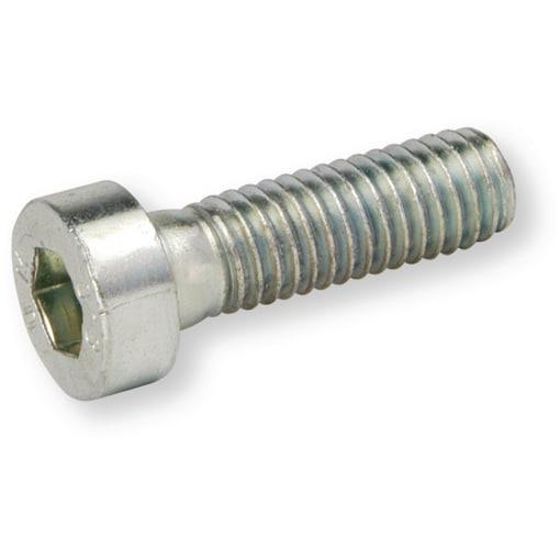 SCHR DIN 7984 8.8 M10X30 ZI