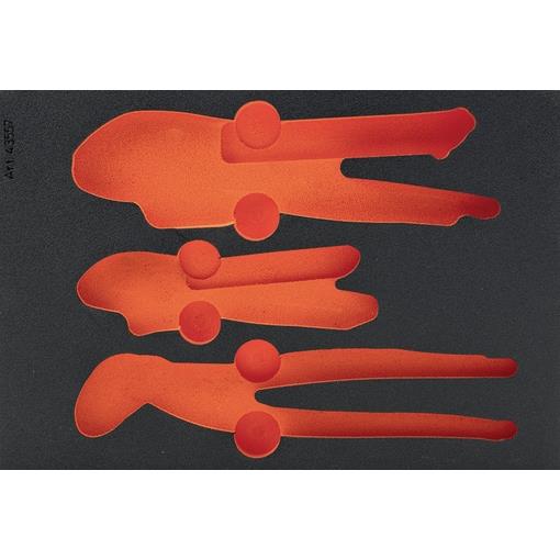 VLOŽEK PENA ZA KLEŠČE 3